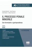 processopenale_minorile